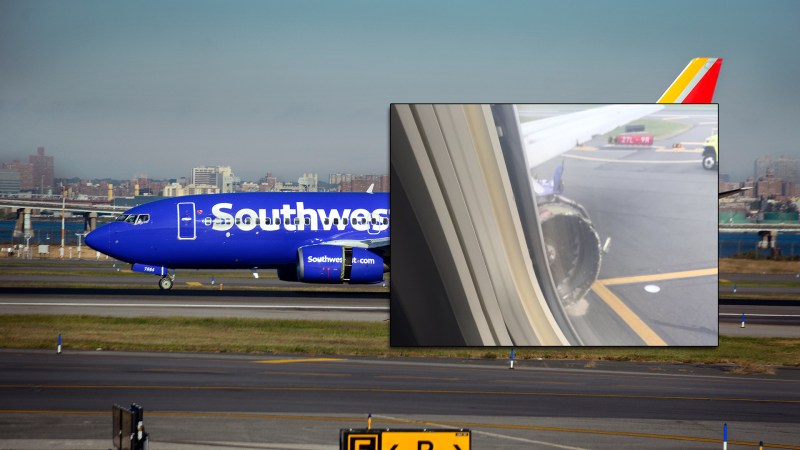 Alaska Airlines Boeing 737 Hits a Bear on Landing