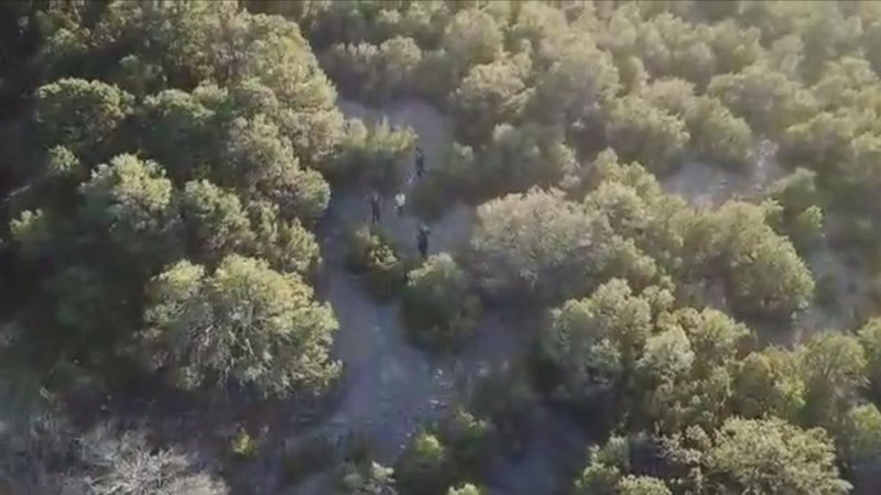 Lost New Mexico Hikers and Incapacitated Dog Rescued by Fire Department Drone