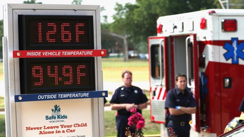 Back Seat Alerts Remind You to Keep Your Children and Pets Cool