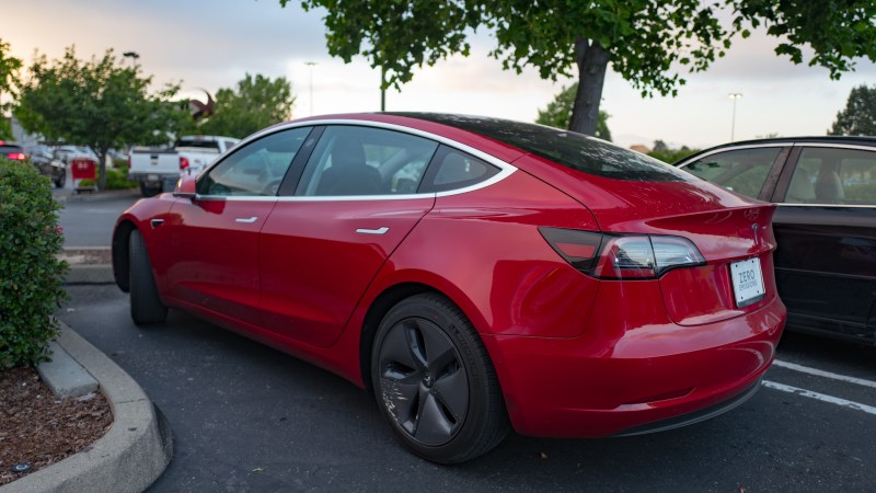 A Tesla ‘Dog Mode’<em> </em>Could Be in the Works