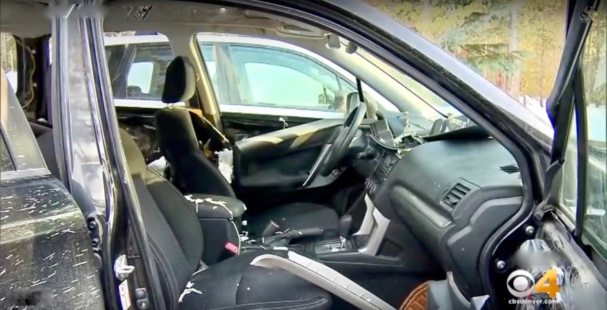 Naughty Bear Trashes 2014 Subaru Forester in Search for Gummy Bears, Poops in Back Seat