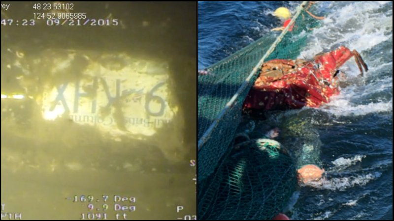 Junkyard Cars Falling off Cargo Ships Threaten Pacific Marine Wildlife Sanctuary