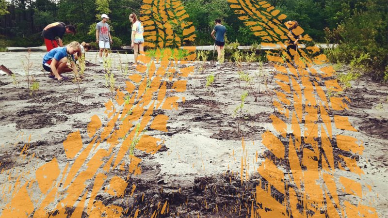 Careless Off-Roaders Destroy 400 Trees Just Planted by New Jersey Conservation Group