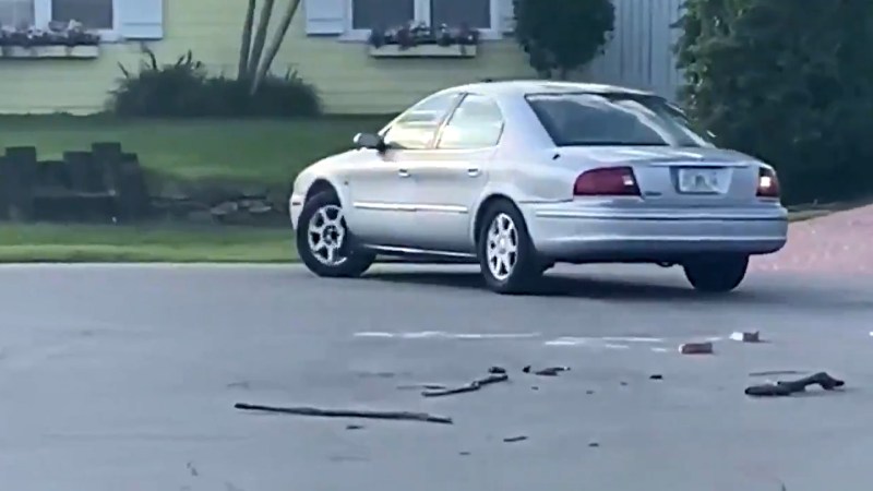 Florida Dog Does Donuts in Mercury Sable After Accidentally Shifting Into Reverse