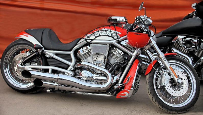 Best Harley-Davidson Gifts Ideas: Give the Biker in Your Life the Perfect Gift