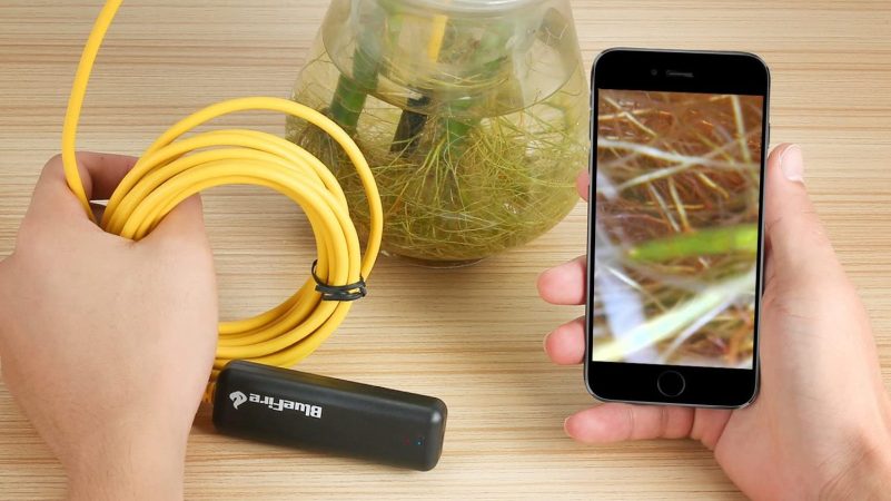 Best Endoscope Camera