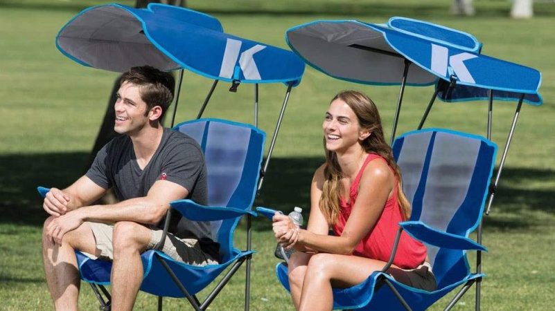 Best Canopy Chairs (Review & Buying Guide) in 2022