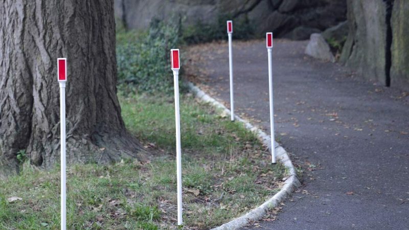 The Best Driveway Markers (Review & Buying Guide)