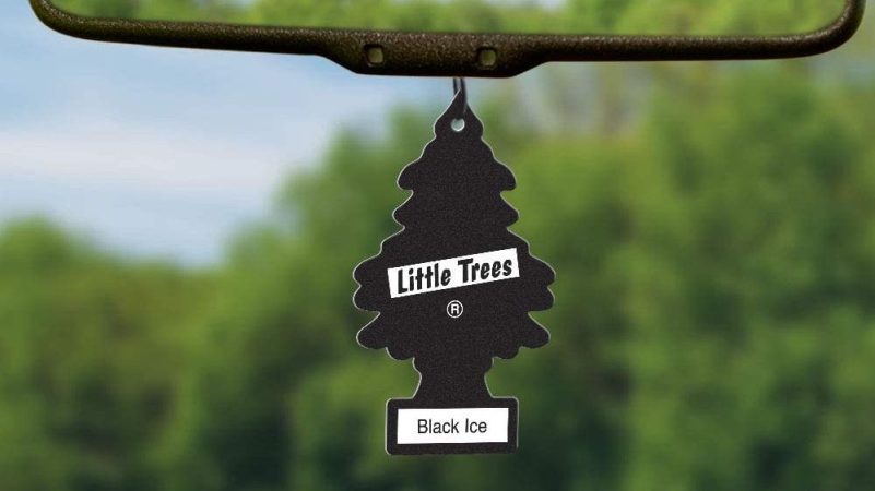 The Best Little Trees Car Air Fresheners