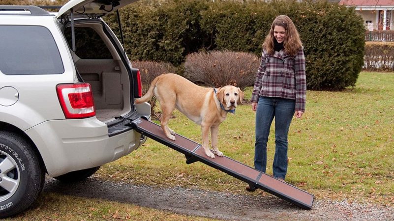 Best Dog Ramps for SUVs