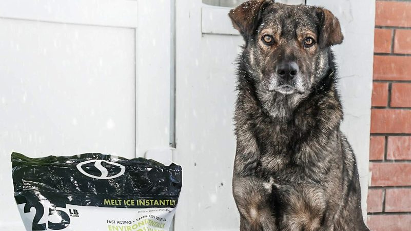 The Best Pet Safe Ice Melt