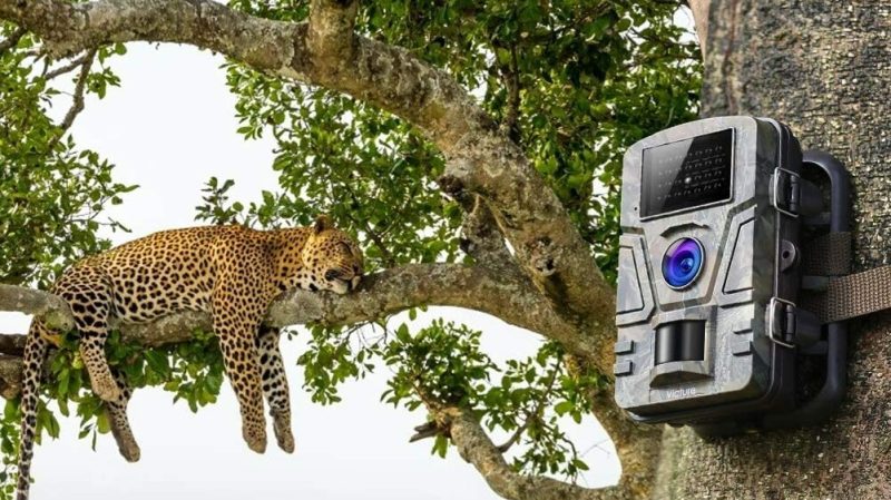 The Best Game Cameras