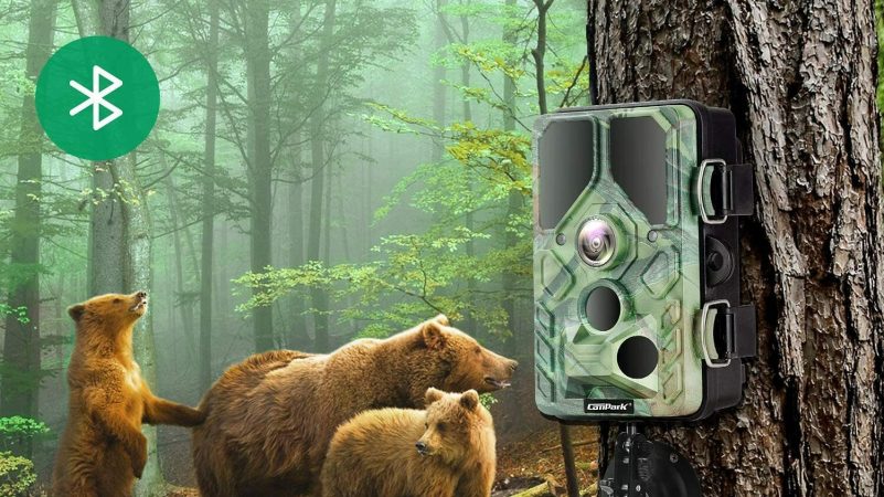 The Best WiFi Trail Cameras