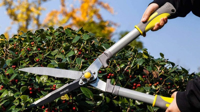 The Best Hedge Clippers