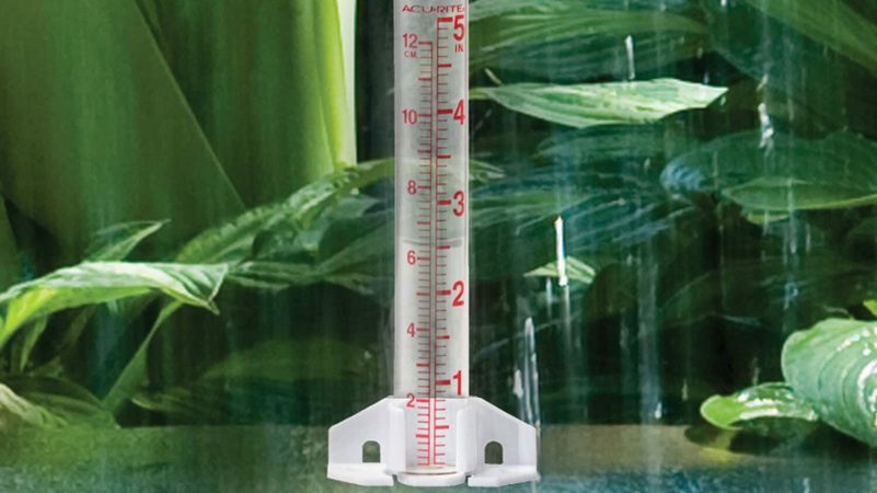 The Best Rain Gauge Replacement Tube Glasses