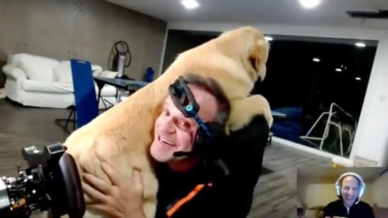 Watch a Big Snuggly Dog Interrupt Former F1 Driver Rubens Barrichello’s iRacing Stream