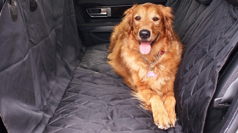 The Best Cab Covers for Your Car