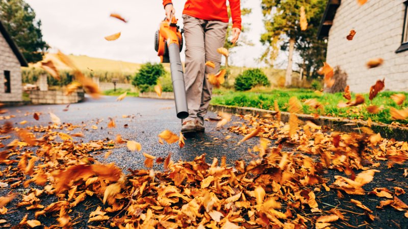 Will a Leaf Blower Help Clean Your Car’s Interior? Consumer Reports Tried It Out