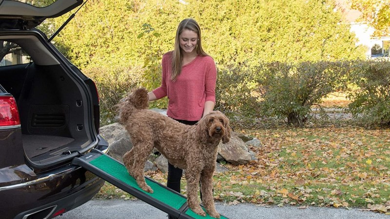 Here Are The Best Dog Ramps for Cars and SUVs