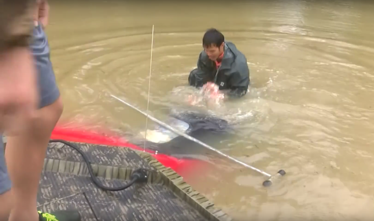 We Talked to the Man Restoring Louisiana’s Flooded Mazda Miata