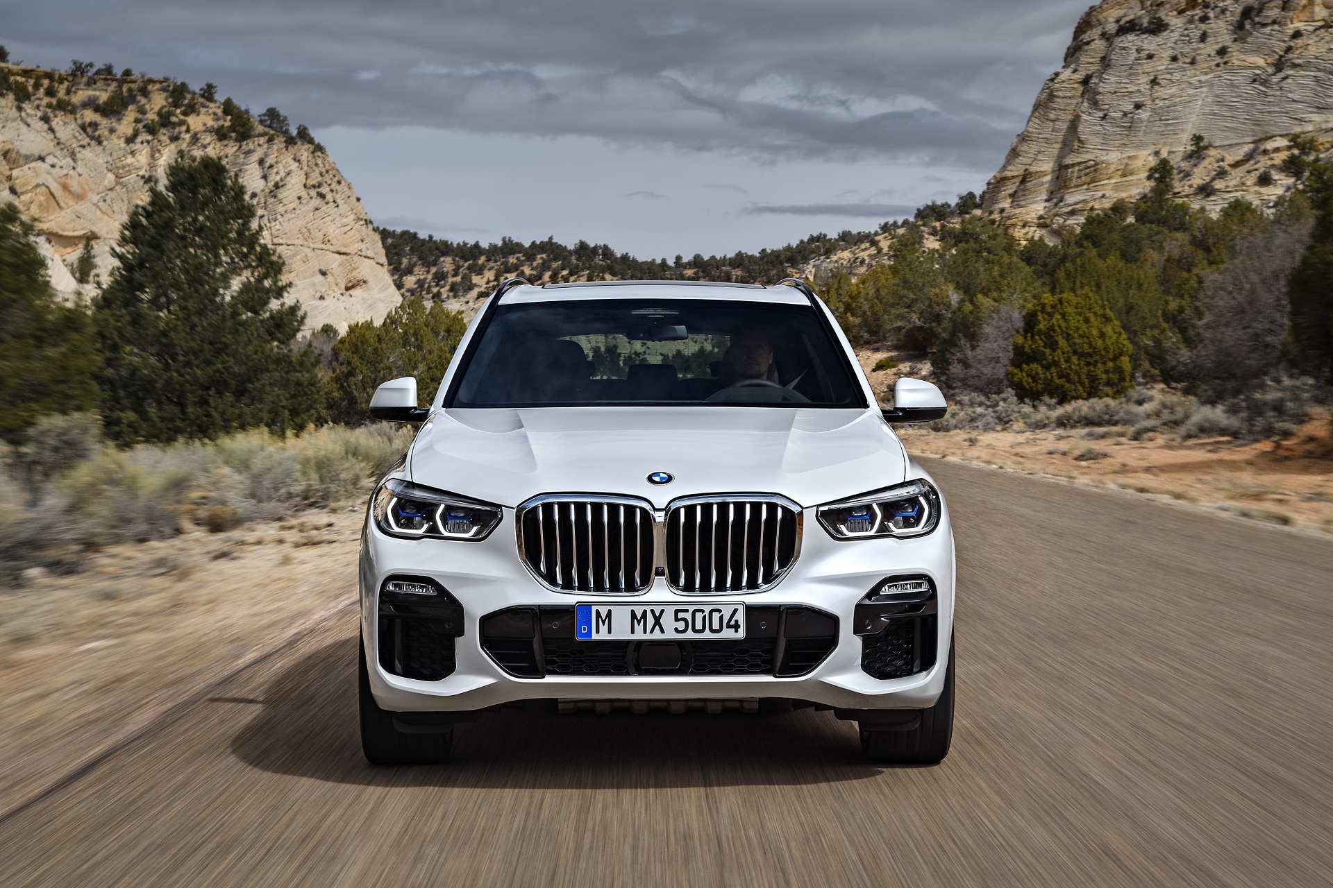 message-editor%2F1528254813631-p90304006_highres_the-all-new-bmw-x5-0.jpg